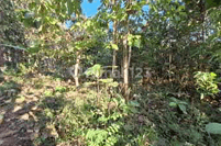 Dijual Aset Lelang Lahan Kosong 541 M2 di Bawah 200 Juta di Kab Kulon Progo