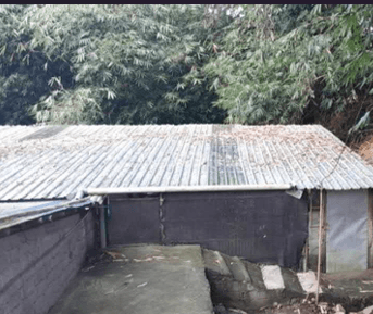 Dijual Aset Lelang Bangunan Ternak 749 M2 di Sleman - Lokasi Strategis & Siap Pakai