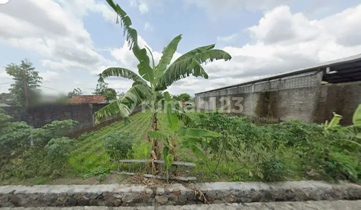 Dijual Tanah Lokasi Jalan Damai Cocok untuk Bangun Kost / Villal