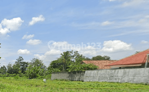 Dijual Aset Lelang Lahan Perkebunan, Dekat Condongcatur, Cocok untuk Hunian atau Investasi Masa Depan