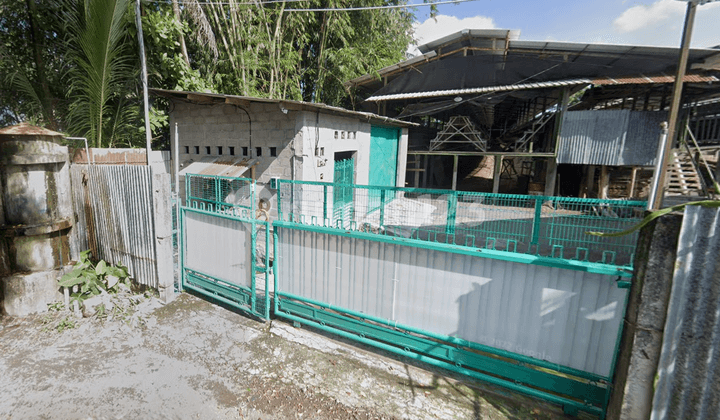 Dijual Aset Lelang Peternakan Ayam Luas 3.647 M2! Kandang, Gudang, Listrik & Air Ready di Kab Sleman