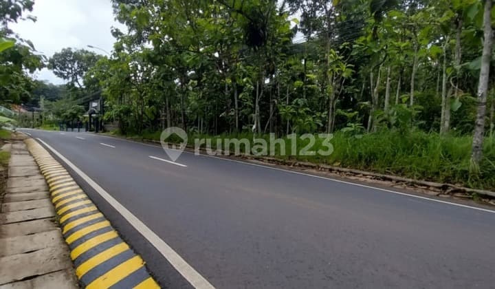 For Sale: Spacious 4,290M2 Plot of Land, Ideal for Housing in Dlingo