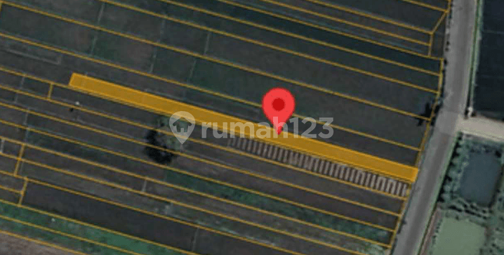 Dijual Aset Lelang Lahan Pertanian Strategis Luas 450 M2 di Kab Sleman