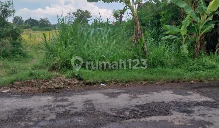 Dijual Tanah Sawah Luas 1.184 M2 Srimulyo Piyungan Bantul Jogja