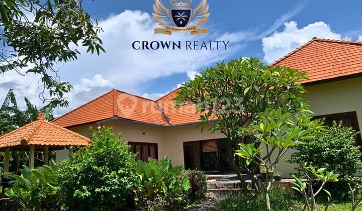 Spacious 2,180 Sqm Renovated Villa Only 3 Minutes To Lovina Beach