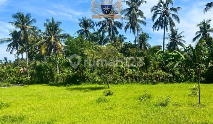 525 Sqm Land In Strategic Kaliasem Lovina Area