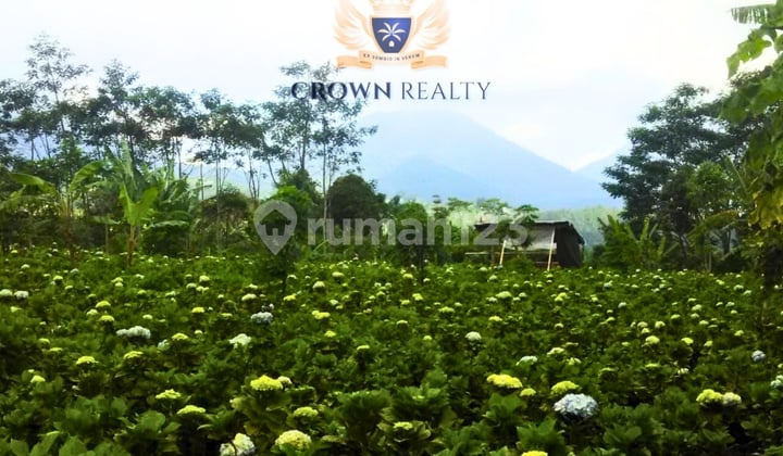 Highland Freehold Land - Agricultural And Development Potential