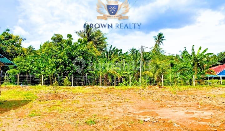 Ready To Build SHM Land In Temukus, Strategic Location