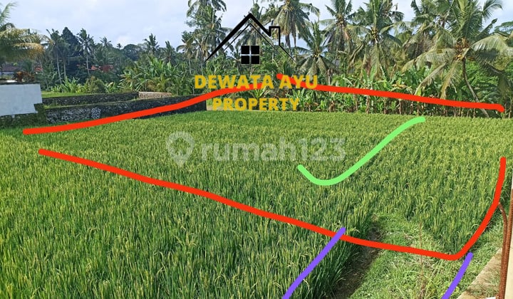 LAND 10 ARE, RICE FIELD VIEW, YELLOW ZONE, BESIDE JALAN CINTA IN TEGALLALANG