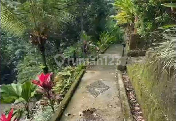 LAHAN DATAR DAN TERASERING 1,1 HEKTAR VIEW SAWAH DAN HUTAN DI TEGALLALANG