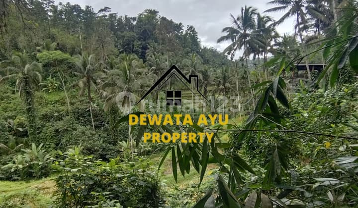 LAHAN 60 ARE ZONA KUNING VIEW SUNGAI DAN HUTAN LOKASI TEGALLALANG