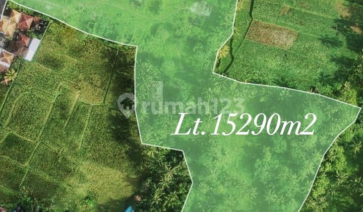 Lahan Jual Luas 150 Are Kawasan Villa Lokasi Kendran Tegallang