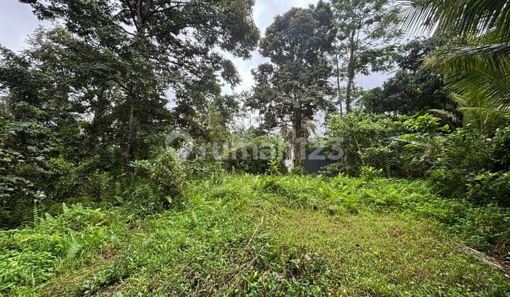 Lahan Jual Luas 13 Are Lokasi Central Ubud Los Sungai