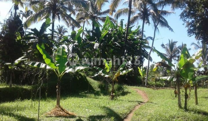 Lahan Jual Luas 14 Hektar Los Sungai Lokasi Payangan