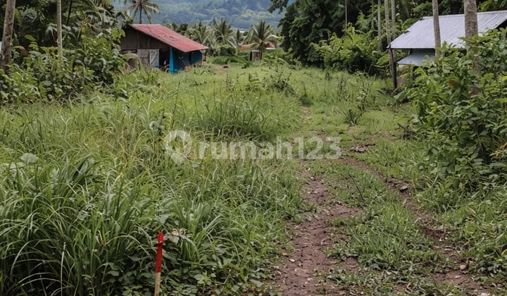 Tanah, SHM, di Kauditan,