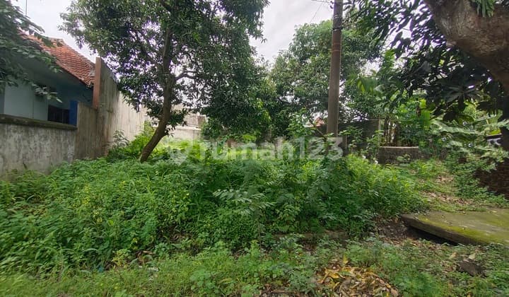 Tanah Strategis Di Doko Kab Kediri