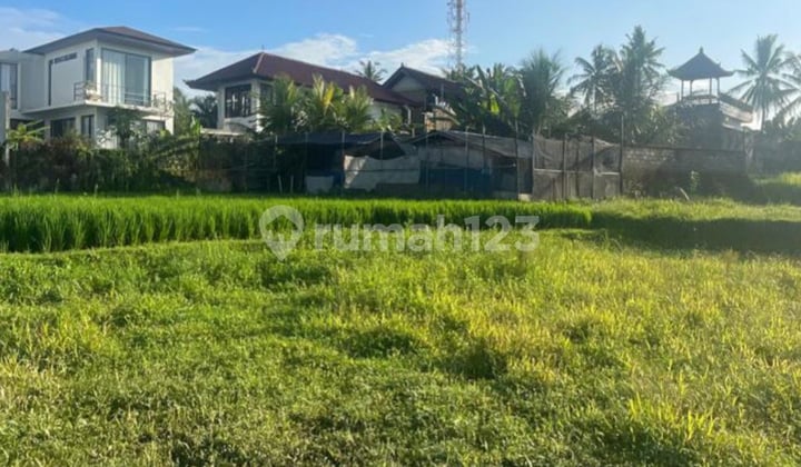 Disewakan Tanah Lokasi Strategis di Ubud Tampaksiring