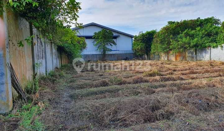 Dijual Tanah Luas Daerah Laut Dendang