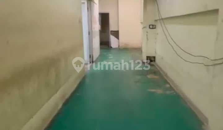 DIJUAL CEPAT GUDANG ELANG LAUT PIK (GANDENG 2)