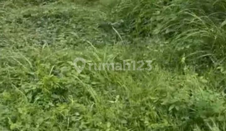 Tanah Raya Pakal Surabaya