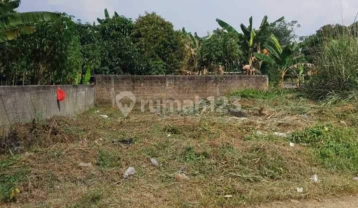 Dijual Tanah Kavling Murah - Bumimas Ciseeng, Bogor SHM | Cocok untuk Rumah Tinggal & Investasi