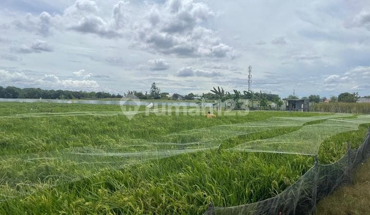 Dijual Tanah Sawah SHM - Lokasi Strategis Cilincing Jakarta Utara ,Cocok untuk Investasi Jangka Panjang, Dekat Fasilitas Pendidikan dan Akses Kawasan Berkembang Jakarta Utara