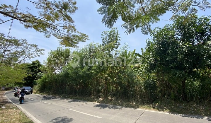 Affordable Plots in Bukit Nusa Indah - Only 5 Million/M²! 10 Minutes to Pondok Aren / Ciater Raya Toll Gate