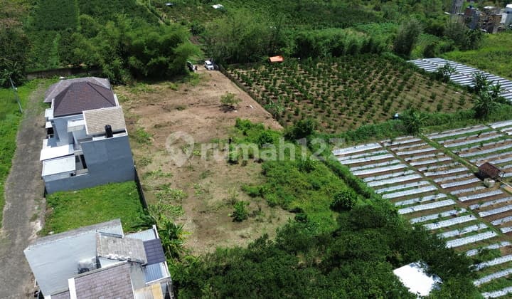 Tanah Siap Bangun di Dau Cocok untuk Investasi