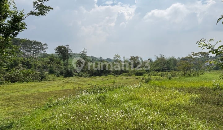 Hunian Pinggir Jalan Lingkungan Padat Sertifikat SHM