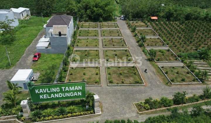 Tanah SHM Akses Tuban-Malang Mudah