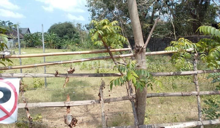 Tanah Strategis 18 Are Di Jimbaran