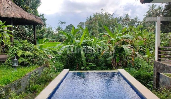 Villa for Sale in Tirta Tawar Ubud