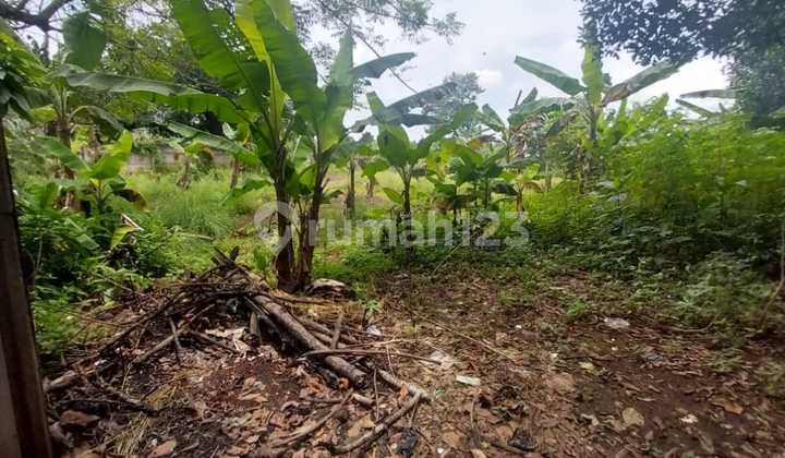 Dijual Kavling Harga di Bawah NJOP Pinggir Jalan Lewinanggung Tapos Depok