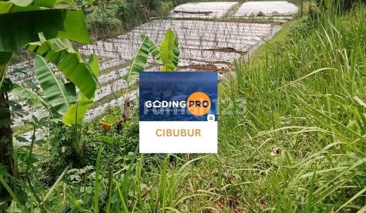 Dijual Tanah Ngantong Lokasi Pinggir Jalan Pamijahan- Bogor Dijual Tanah Ngantong Lokasi Pinggir Jalan Pamijahan- Bogor