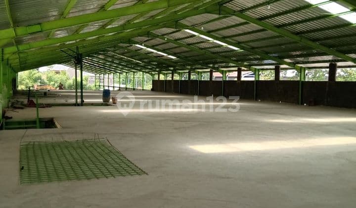 Di Jual Gudang Di Cikupa