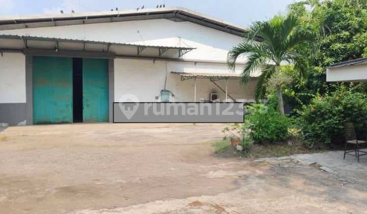 Gudang Bagus Di PLuit