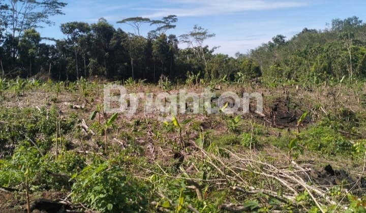 Lahan Tanah Untuk Investasi, Usaha, Gudang.
