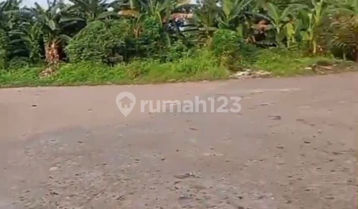 Disewakan Tanah Kavling Berlokasi Strategis Dan Banyak Keunggulan