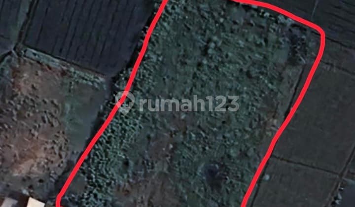 Dijual Kavling Bebas Banjir Cocok Untuk Usaha, lokasi Di Cikarang