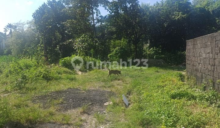 Pura Banyukuning Padangsambian Kelod Denpasar Land