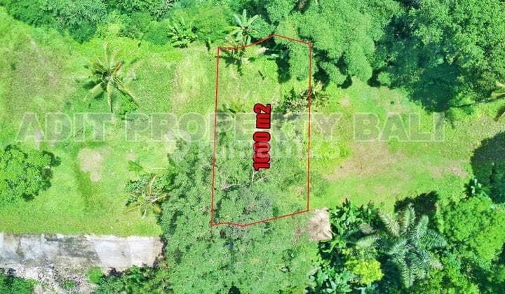 Tanah View Jungle & Sungai Payangan Ubud