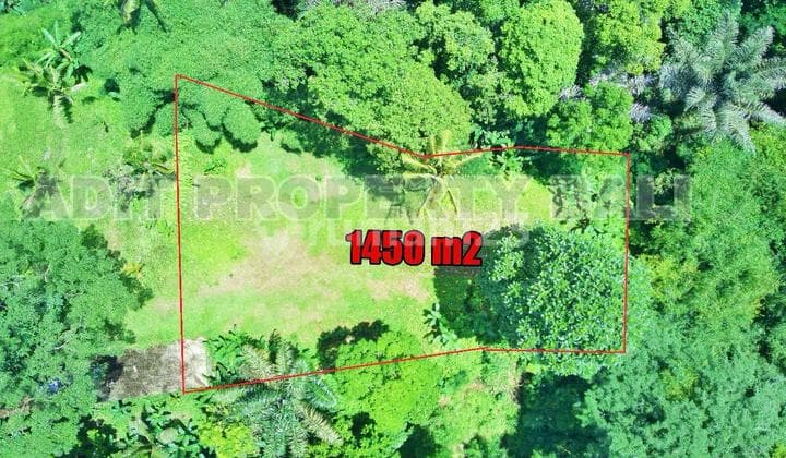 Tanah View Jungle & Sungai Payangan Ubud Gianyar