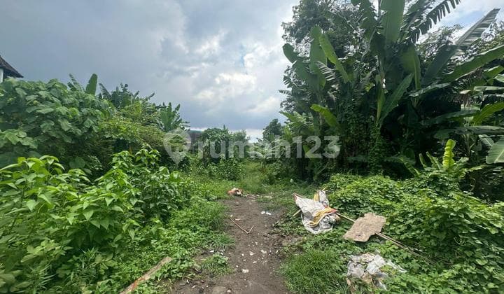 Tanah Murah Dalung Kerobokan Badung Bali