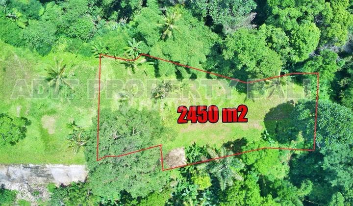 Tanah View Jungle & Sungai Payangan Ubud Gianyar