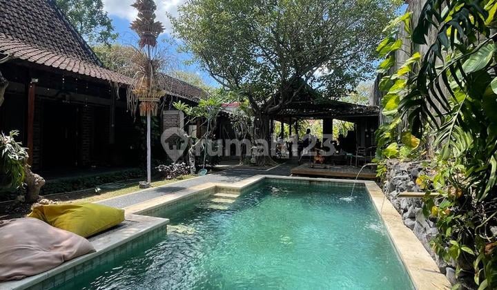 Tanah Murah Merdeka Raya Kuta Badung Bali