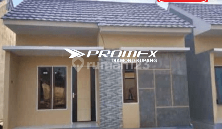 DISEWAKAN RUMAH LOKASI PETUK KUPANG