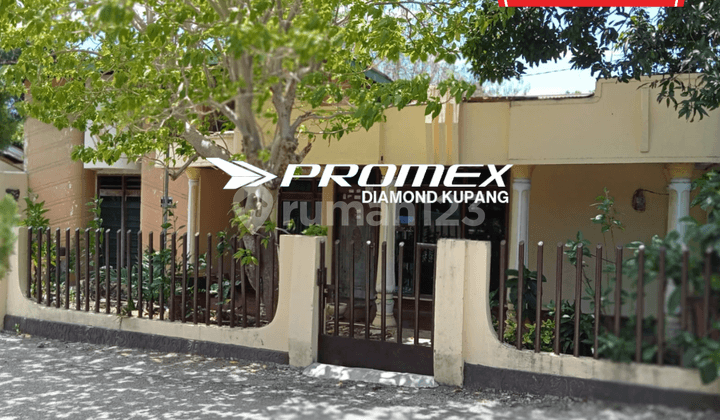 FOR SALE HOUSE AND BOARDING HOUSE LOCATED IN OEBOBO KUPANG