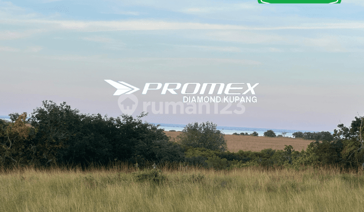 DIJUAL TANAH LOKASI SUMBA TIMUR