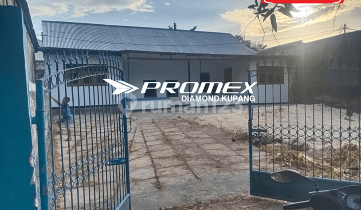 For Rent House Location Naikoten Kupang