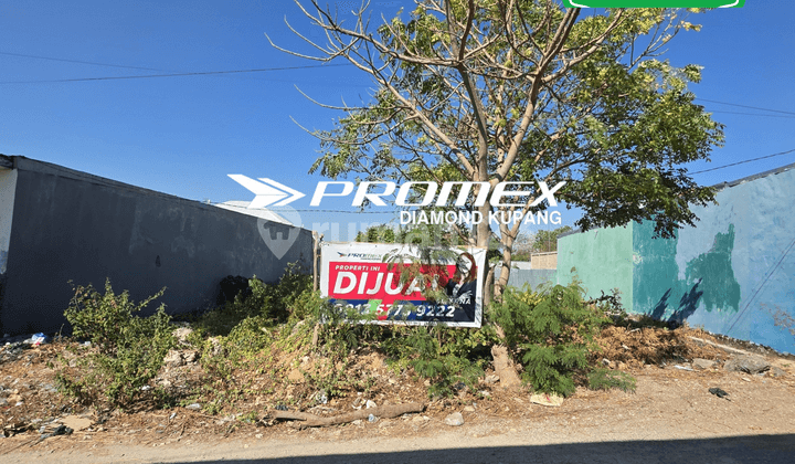 FOR SALE CHEAP STRATEGIC LOCATION BUSINESS AREA UNDANA KUPANG CITY NTT